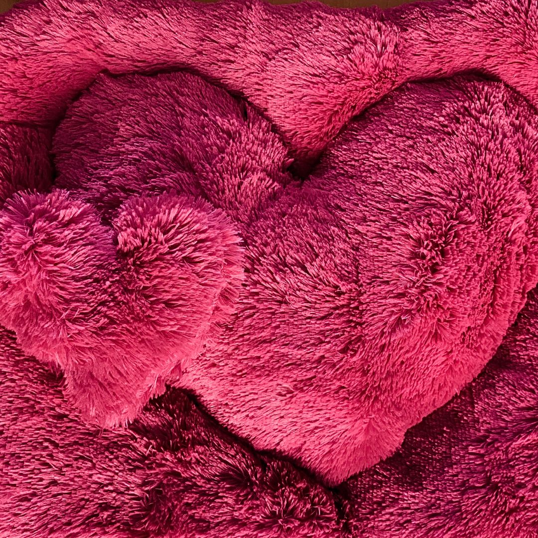 Cama Teddy