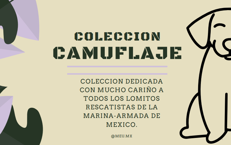 Colección Camuflaje