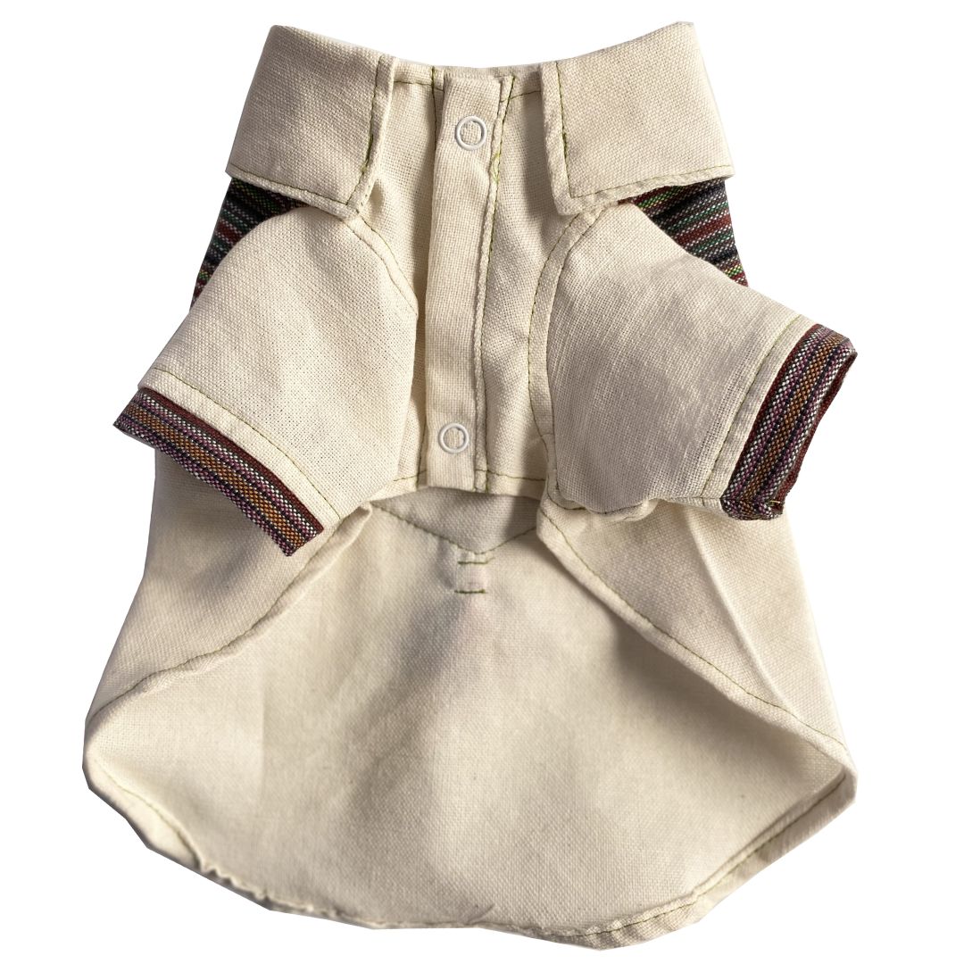Conjunto Patz