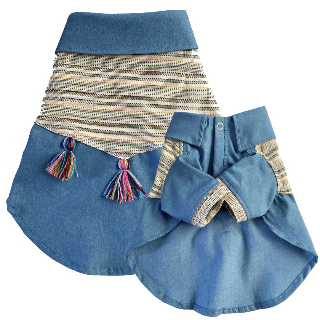 Conjunto Tzintzun