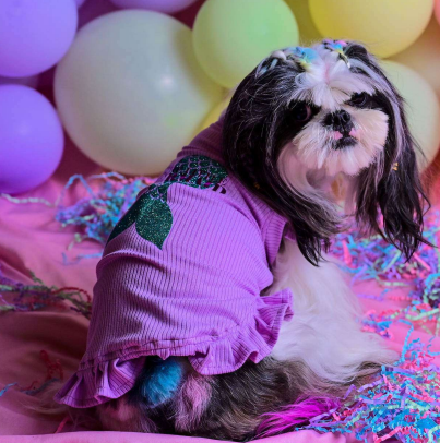 Playera Luna