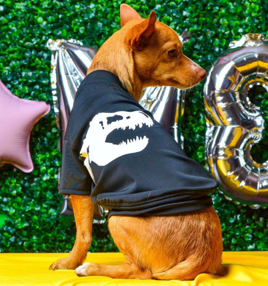 Playera T-Rex