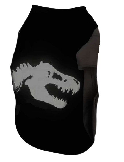 Playera T-Rex
